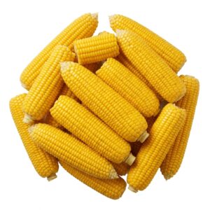 Corn on the Cob